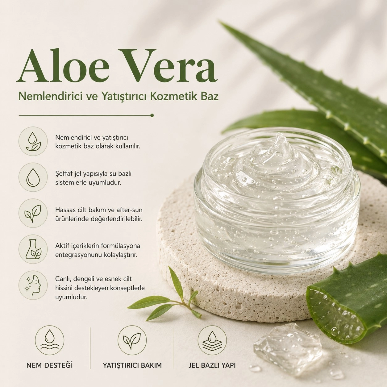 Aloe Vera – Nemlendirici ve Yatıştırıcı Kozmetik Baz