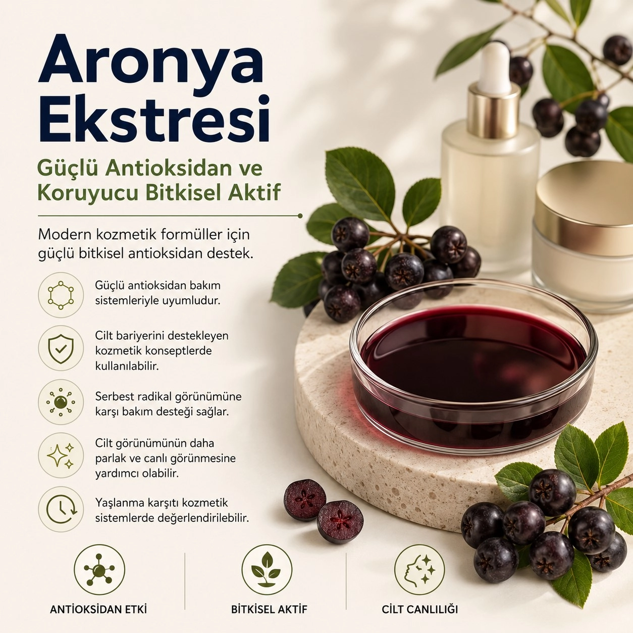Aronya Ekstresi – Güçlü Antioksidan ve Koruyucu Bitkisel Aktif