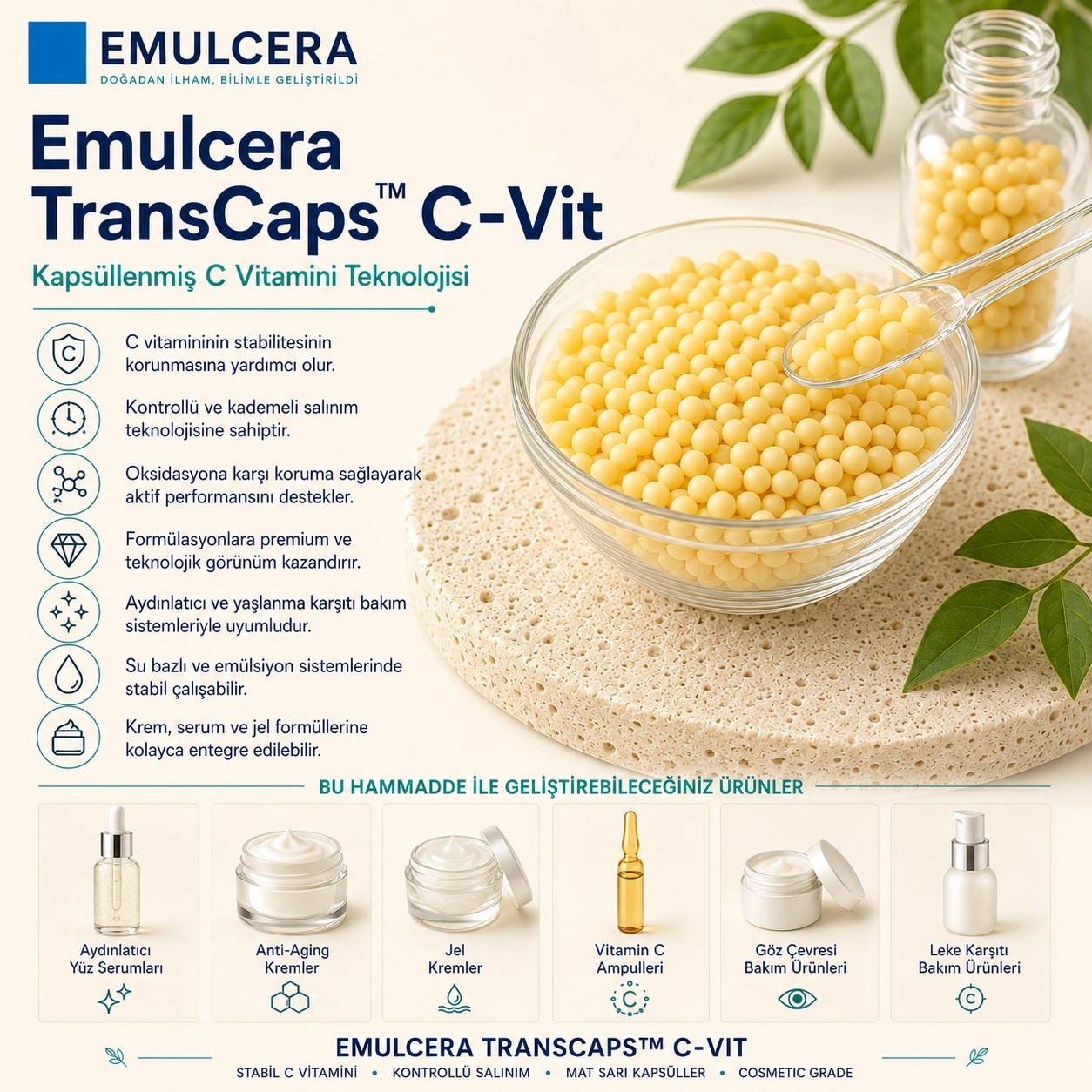 Kapsül C Vitamini – TransCaps™ C-Vit Teknolojisi