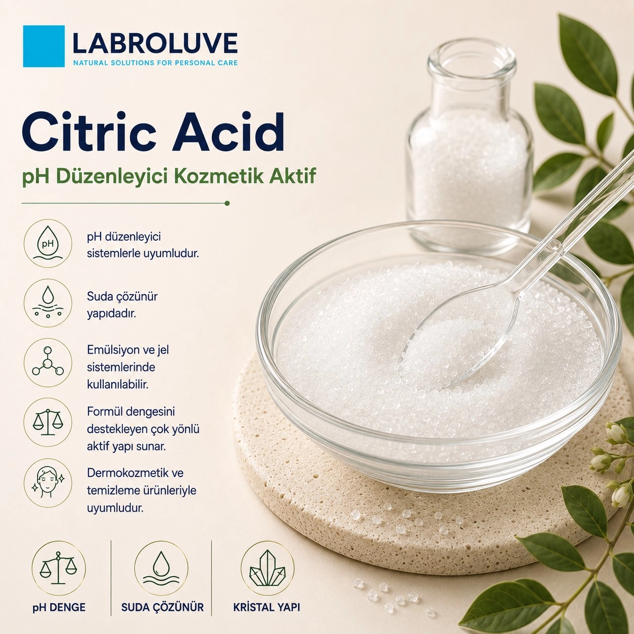 Labroluve Citric Acid – pH Düzenleyici Kozmetik Aktif