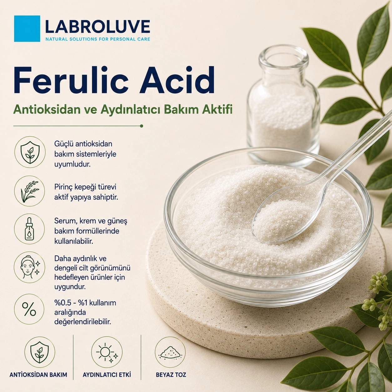 Labroluve Ferulic Acid – Antioksidan ve Aydınlatıcı Bakım Aktifi