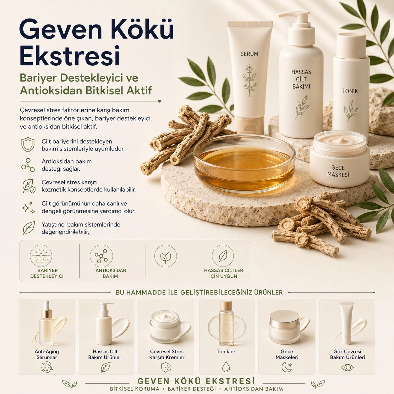 Geven Kökü Ekstresi – Bariyer Destekleyici ve Antioksidan Bitkisel Aktif