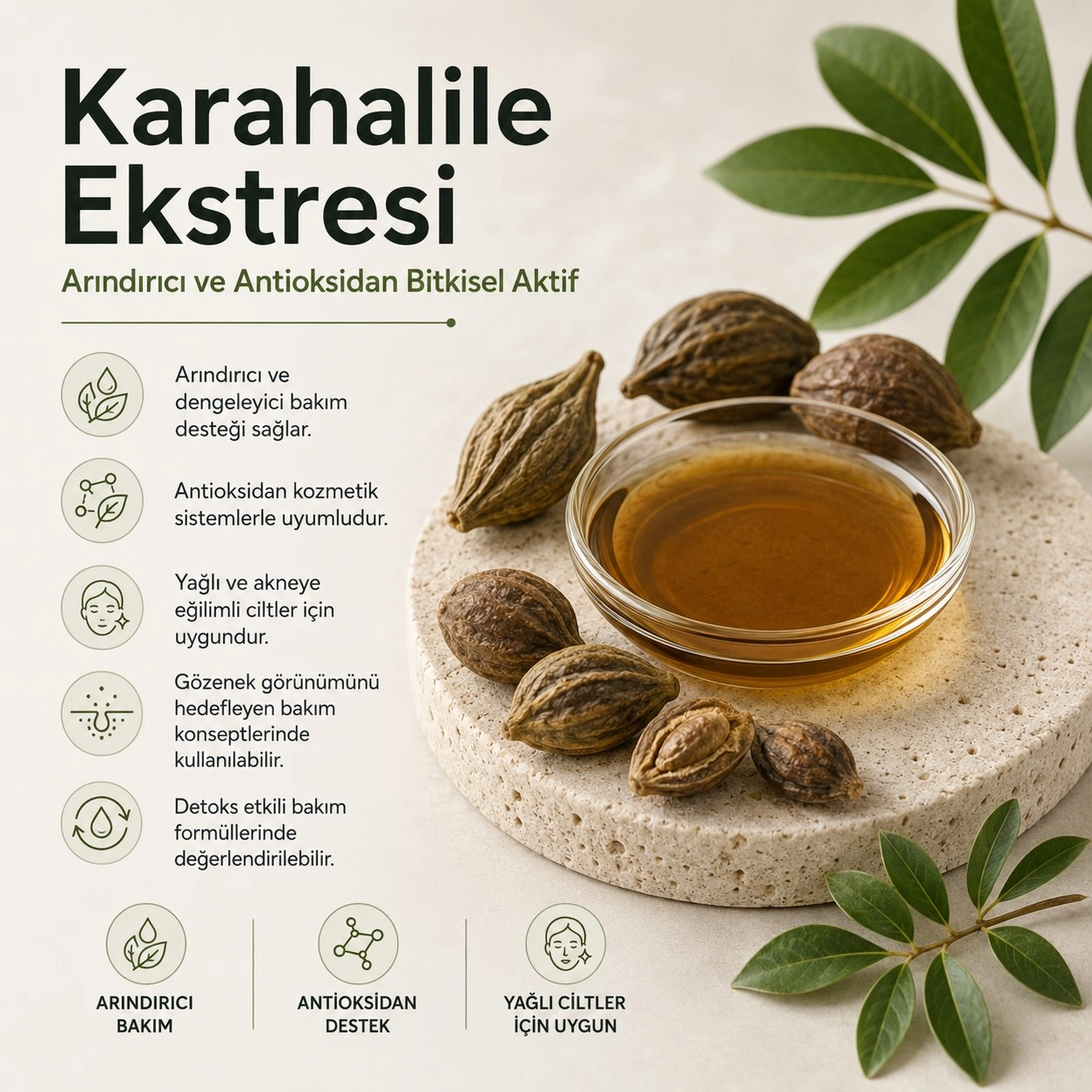 Karahalile Ekstresi – Arındırıcı ve Antioksidan Bitkisel Aktif