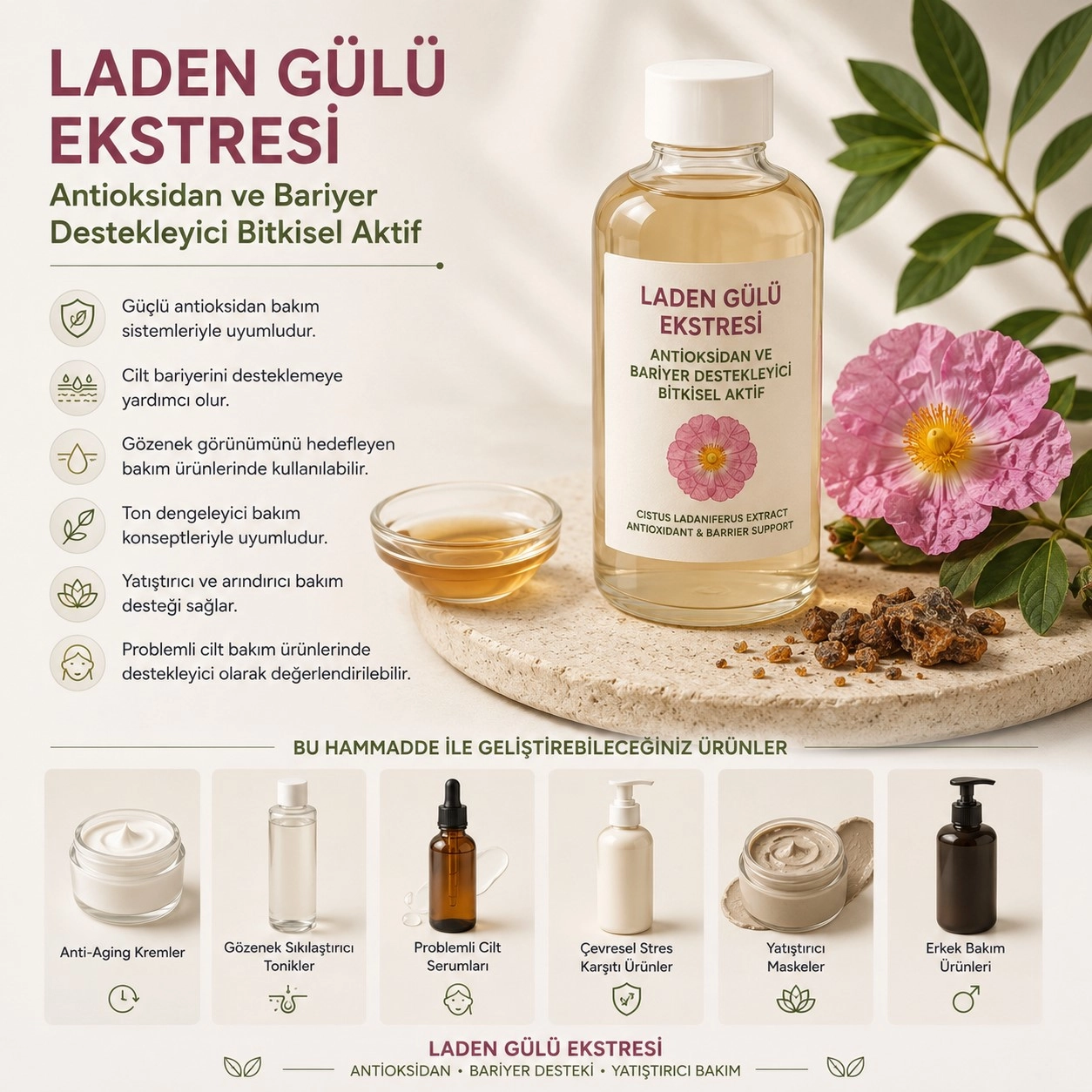 Laden Gülü Ekstresi – Antioksidan ve Bariyer Destekleyici Bitkisel Aktif