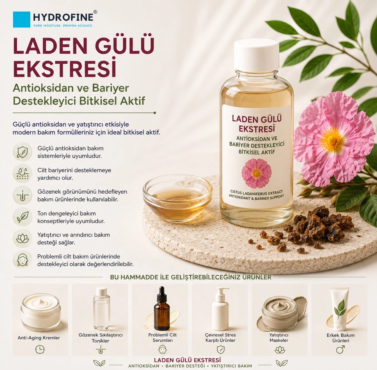 Laden Gülü Ekstresi – Antioksidan ve Bariyer Destekleyici Bitkisel Aktif