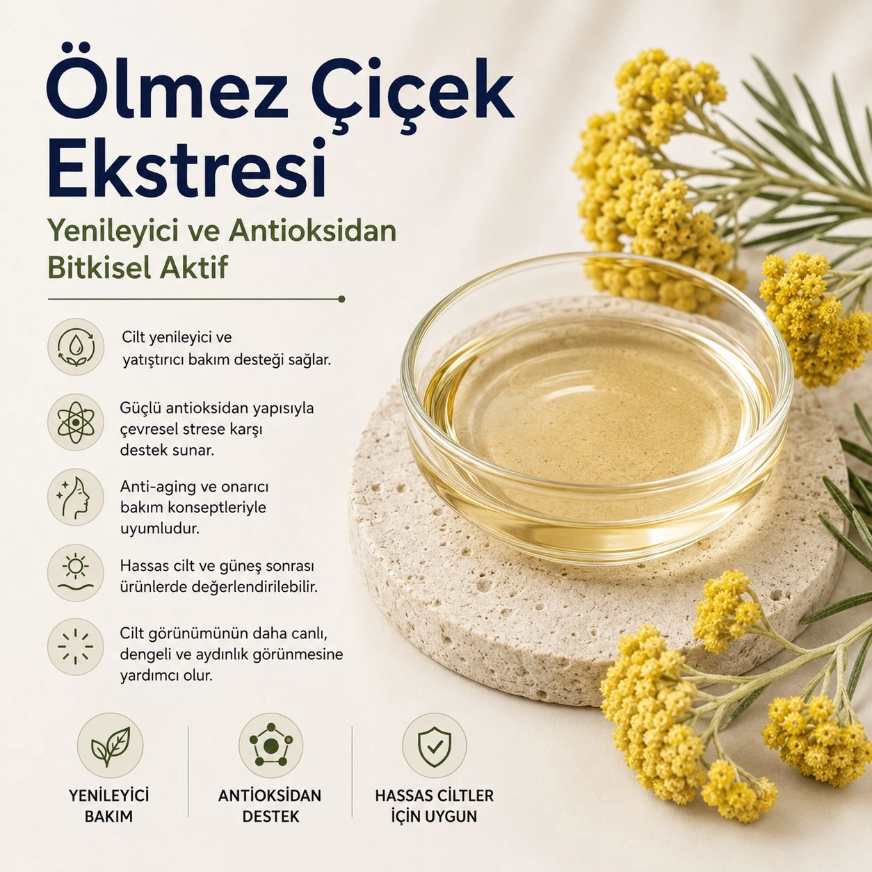 Ölmez Çiçek Ekstresi – Yenileyici ve Antioksidan Bitkisel Aktif