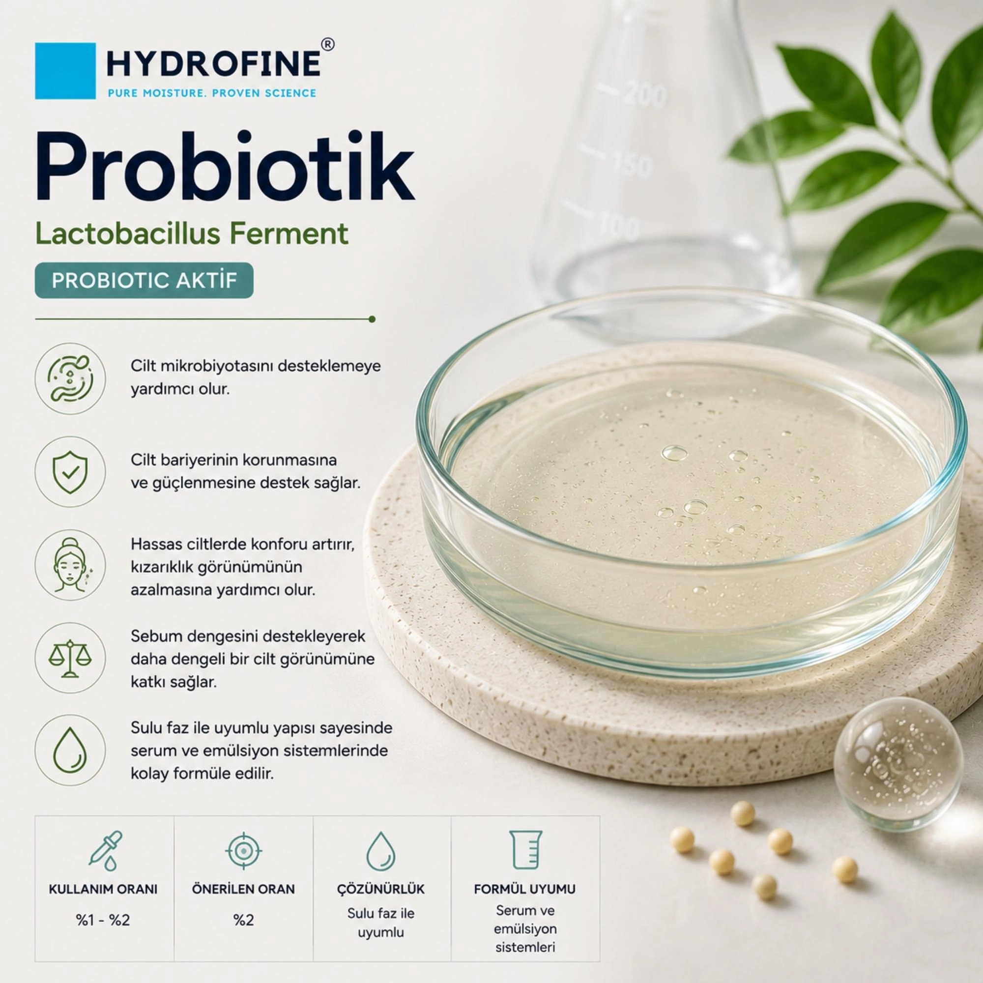 Probiotik Aktif Lactobacillus Ferment