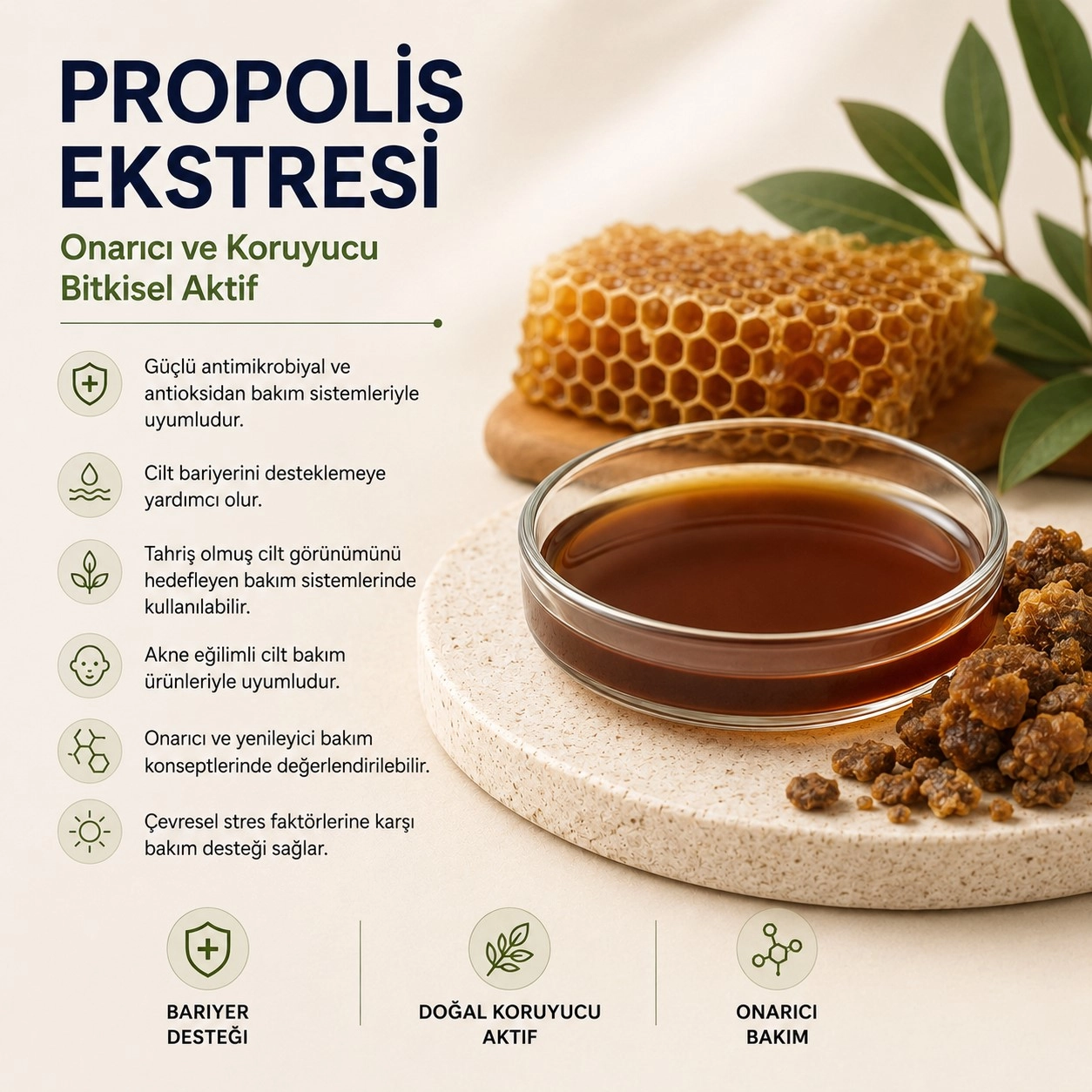 Propolis Ekstresi – Onarıcı ve Koruyucu Bitkisel Aktif