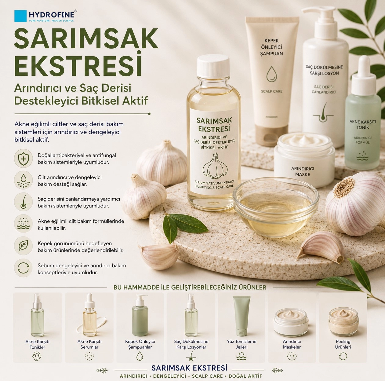 Sarımsak Ekstresi – Arındırıcı ve Saç Derisi Destekleyici Bitkisel Aktif
