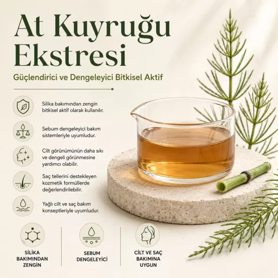 At Kuyruğu Ekstresi | Saç ve Cilt Bakımına Yönelik Aktif