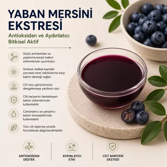 Yaban Mersini Ekstresi | Antioksidan ve Cilt Canlandırıcı Aktif