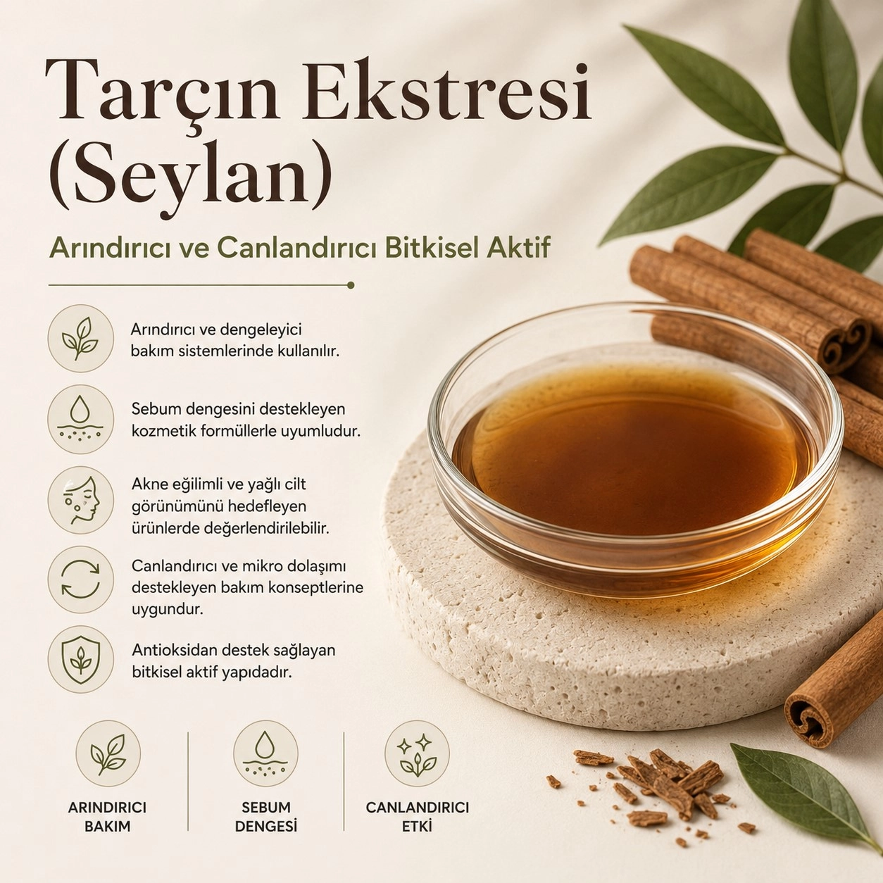 Tarçın Ekstresi (Seylan) – Arındırıcı ve Sebum Dengeleyici Bitkisel Aktif