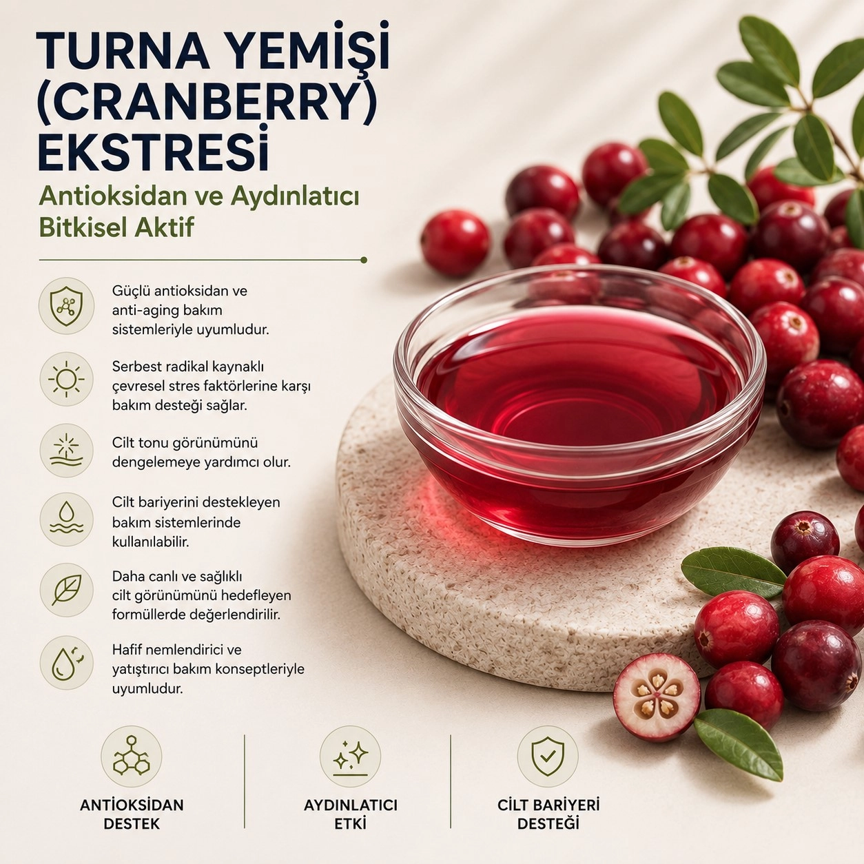 Turna Yemişi (Cranberry) Ekstresi – Antioksidan ve Aydınlatıcı Bitkisel Aktif