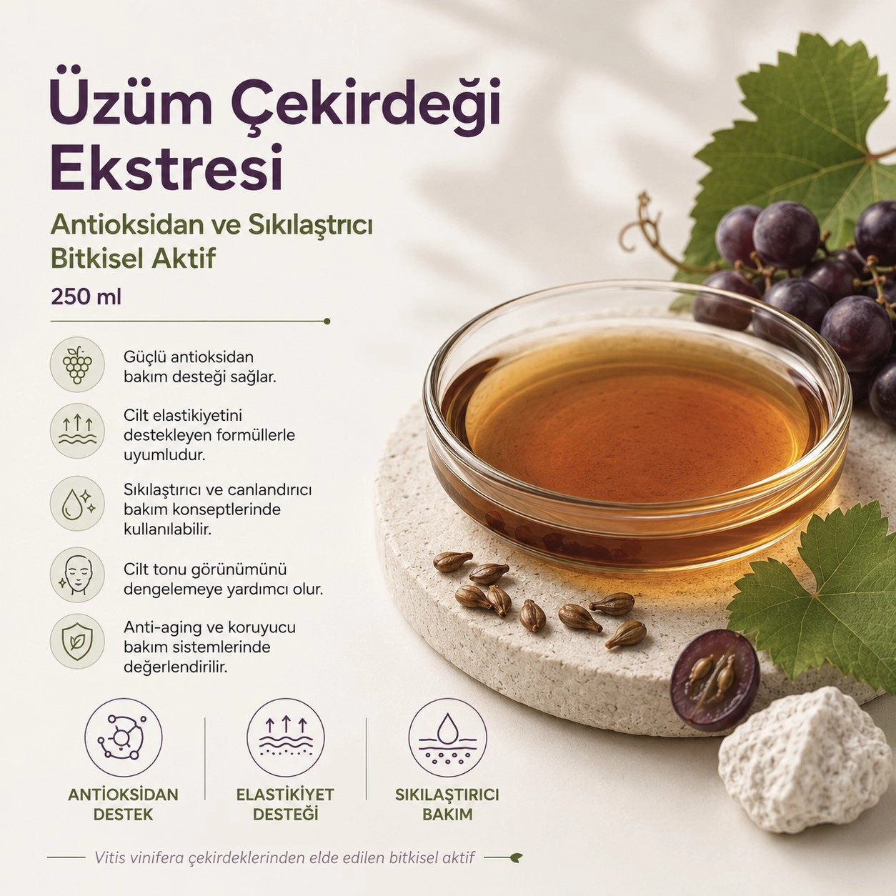 Üzüm Çekirdeği Ekstresi – Antioksidan ve Sıkılaştırıcı Bitkisel Aktif - 250 ml