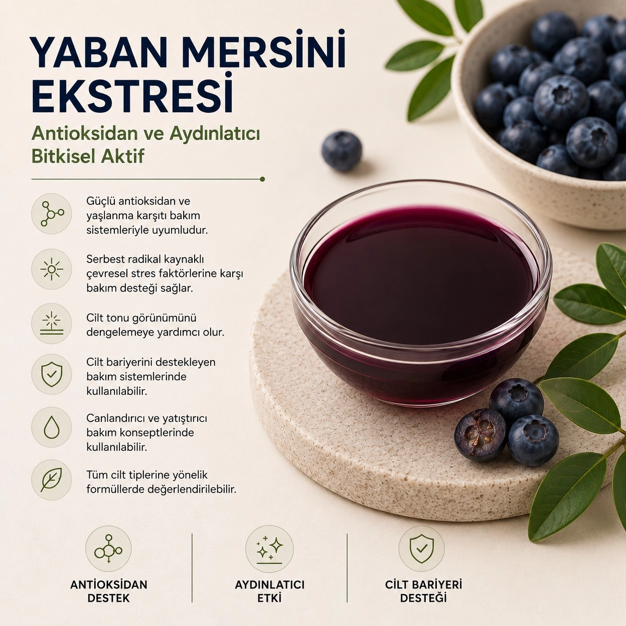 Yaban Mersini Ekstresi – Antioksidan ve Aydınlatıcı Bitkisel Aktif