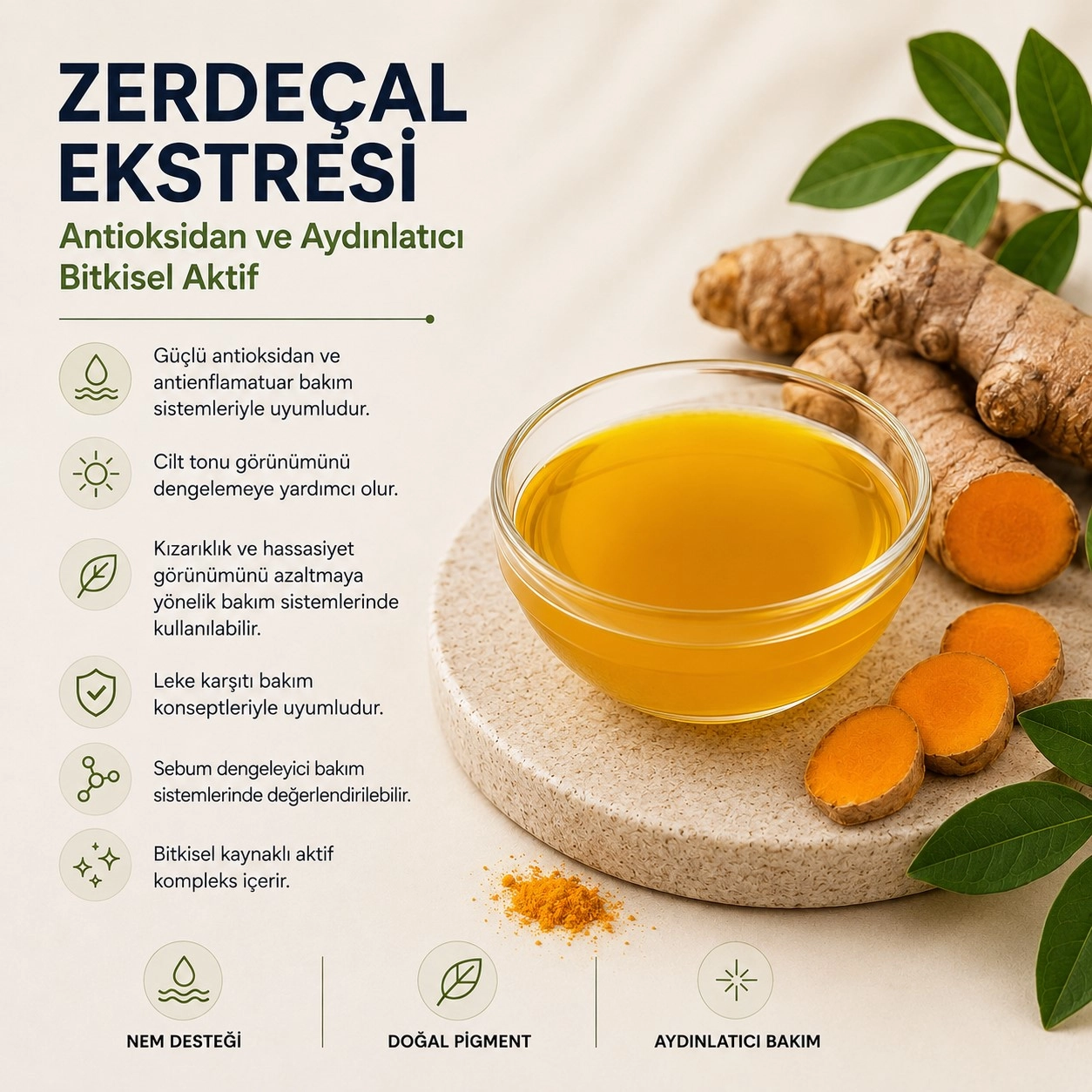 Zerdeçal Ekstresi – Antioksidan ve Aydınlatıcı Bitkisel Aktif